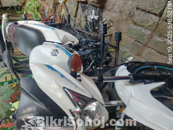 Suzuki hayate 2021